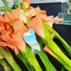The gladiolus flower means memory and fidelity, it comes in a special