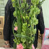 Sansevieria decorated with cut pink carnations, a succulent, Bells of Ireland and