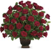 A large display of 3 dozen premium roses in your choice of
