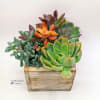 an earthy square box filled with a natural array of color and