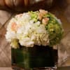 Green and White Hydrangeas, with a sprinkle of peach spray roses, wrapped