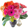 Lush bright Gerbera daisy arrangement, touch of green cymbidium within tall glass