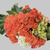 Stunning orange shade in roses, and ranunculus along with hydrangeas. Beautiful summery