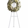A ring of fragrant, bright white blossoms will create a serene display