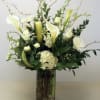 &quot;Three of the most popular and most loved of all plants, beautifully