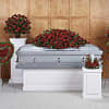 The Legacy Rose Collection contains elegant and gorgeous red roses for an