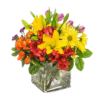 Juicy by BloomNation&trade; packs a color punch! Featuring over 6 different flowers