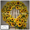 Sunflowers with tiny daisy sunflowers mixed in a funeral sympathy wreath.