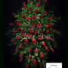 Red roses standing tall, beautiful and full.

*Please call florist to specify color