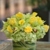 Down the earth color combination of yellow roses, green hydrangea and cymbidium