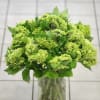 Green day - it&#039;s a great day! Let&#039;s celebrate with flowers