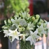 Nice mixture of white flowers - pure white elegant arrangement for all