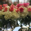 Pink roses with white hydrangeas arranged in a clear glass bubble bowl