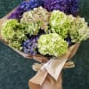 Mixed colors Hydrangea bouquet hand tied in brown paper (colors could vary)