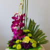Tropicals in a zen green dish