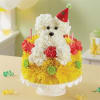 Celebrate a loyal friend on their birthday with our unique and whimsical