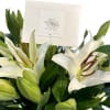 White lilies stand tall and beautiful. Send an impactful gift to somebody
