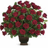 As true as the love symbolized by a red, red rose are