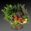 This vibrant plant is full of personality, combining a modern and stylish