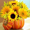 A nice arranmentg  with 6  yellow  sunflowers, 4 stems