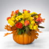 Combine your Flower Power with Pumpkin Power with this wonderful, dare we