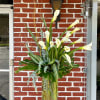 A stunning arrangement of calla lilies, curly willow and greenery.
Perfect for any