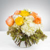 Brighten someone&#039;s day with this cheerful bouquet. This arrangement includes roses and