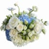 Beautiful anemones, roses, and blue hydrangeas. Makes a great birthday gift. Very