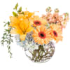 A chic and stylish bubble vase arrangement, this makes an elegant gift