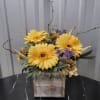 Enjoy this arrangment for a lifetime. Gerber daisy rustic silks 