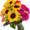 A mixed of colors with sunflowers. Prefect for any occasion to brighten