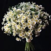 Daisies Wedding Bouquet 