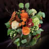 Love Autumn colors? Bring the colors of autumn in the summer with
