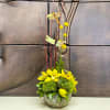 Beautiful arrangement with cymbidum orchid, green ball dianthus &amp; dogwood with a