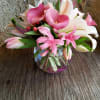 An all pink and blush design, monochromatic, fresh and clean mixed pink