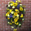 Standing spray with yellow sunflowers, daisy&#039;s, alstroemeria, yellow &amp; burgandy carnations, yellow