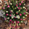 hot pinl roses white lilies pink lilies greenery white roses