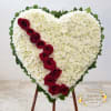 Broken Heart ~  A field of white Chrysanthemums split by a