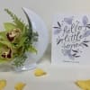A white ceramic moon filled with green cymbidium orchids and delivered with