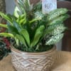 Dish gardens come with a variety of plants in a beautiful ceramic