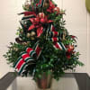 Lovely boxwood branches shaped like a Christmas Tree
with lights