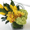 Bring the warmth of sunshine into your space with Dave&#039;s Flowers, your