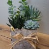 A natural rustic wooden planter with mixed succulents and a decorative straw