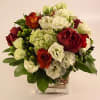 Red and White Roses and mini Green hydrangea
make a lovely Valentines Bouquet