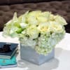 Step into a realm of serene elegance and pure beauty with the