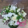 Step into a world of enchantment and natural beauty with &quot;The Garden