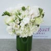In the world of flowers, white blooms have a timeless and celestial