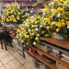 Casket spray has roses and mix greens