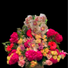 nice and large floral exotic tropical basket of flowers with cymbidium orchids