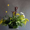 A peaceful meadow style arrangement with a buck figuring.
